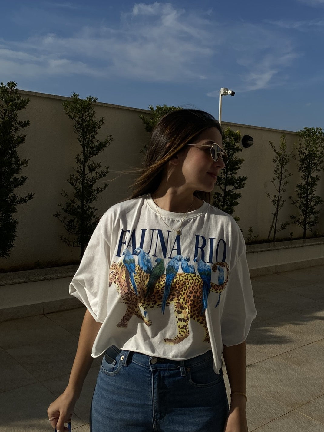 Cropped Fauna Rio