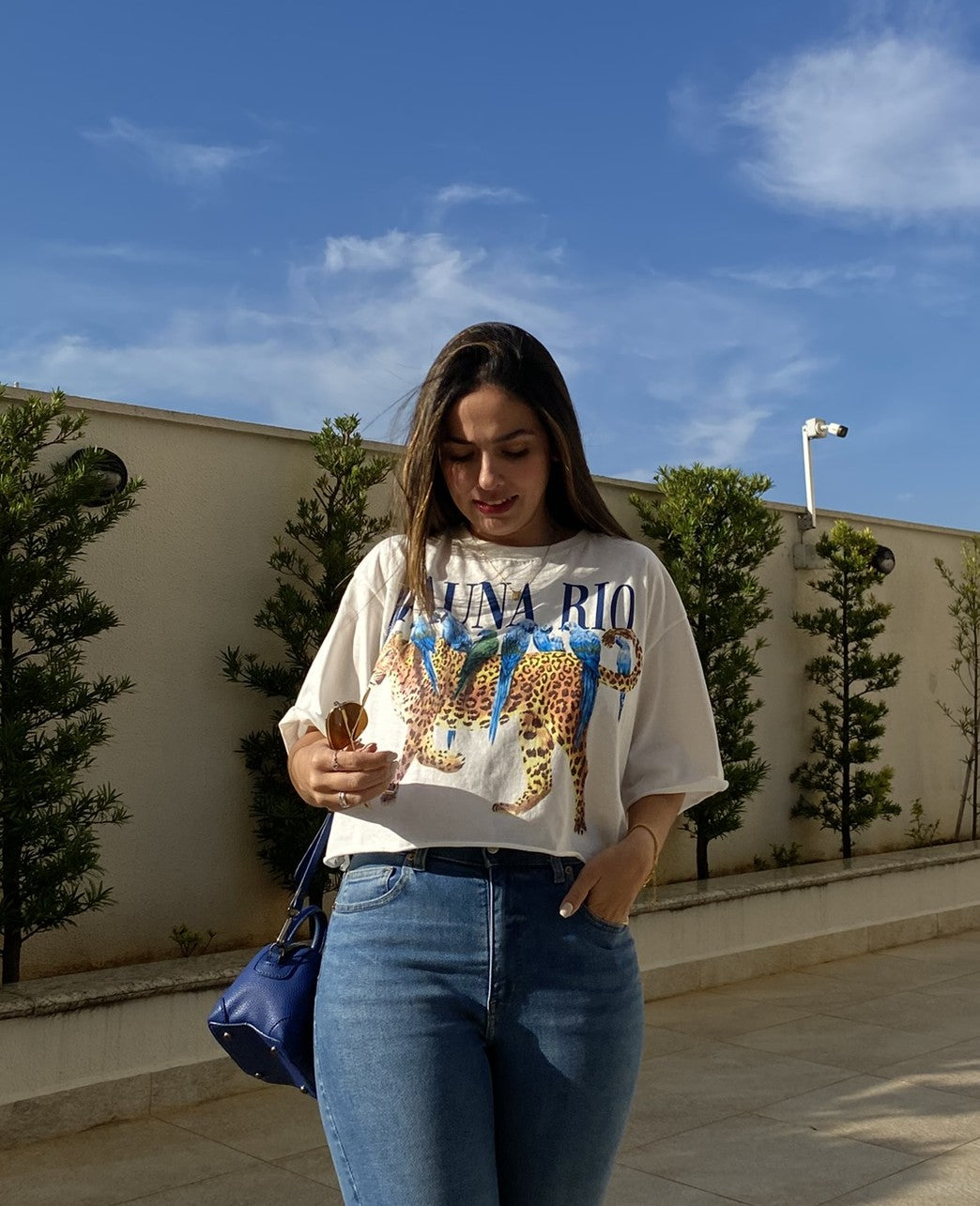 Cropped Fauna Rio